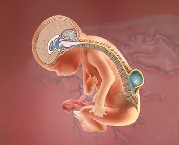 中国·8463永利皇宫(集团)有限公司-官方网站