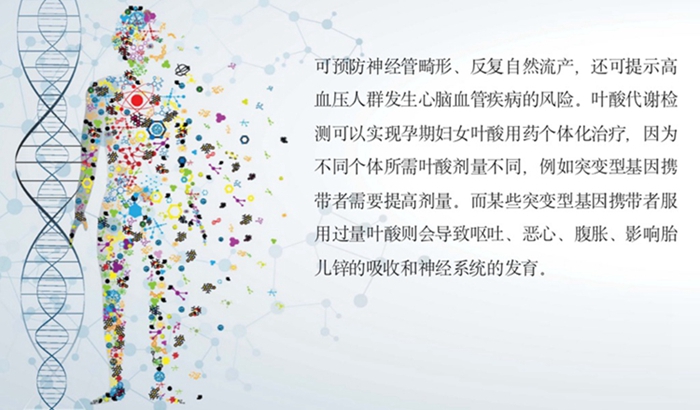 中国·8463永利皇宫(集团)有限公司-官方网站